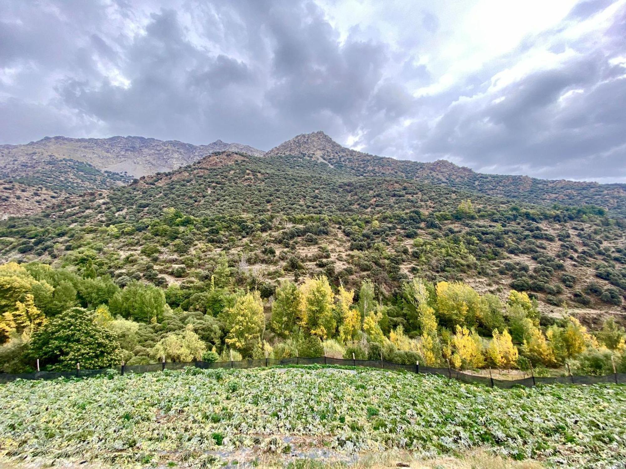 Casa Rural Cortijo Molino Altero Trevelez Exterior photo